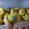 Pear Packham Matang 500gr