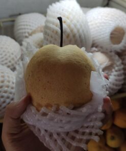Pear Madu Gong Lie 500gr