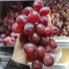 Anggur Red Globe Super 500gr
