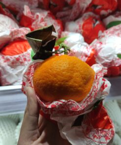 Jeruk Decopon 500gr