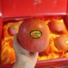 Paket Apel Sunmoon Premium