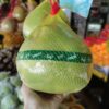 Jeruk Pamelo Bali (pcs)