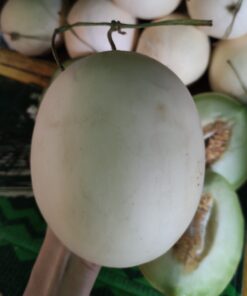Melon Madu Vietnam Crispy 500gr