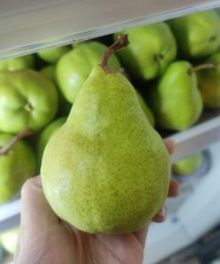 Packham Pear Aussie 500gr