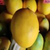 Melon Golden Organik 500gr
