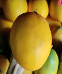 Melon Golden Organik 500gr