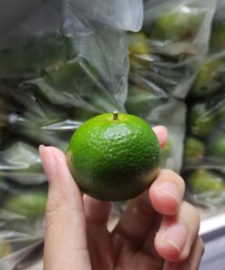 Shantang Madu Vietnam 500gr