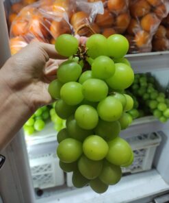 Anggur Hijau Shine Muscat 500gr