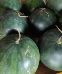 Semangka per kg
