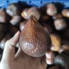 Salak Pondoh Super 500gr