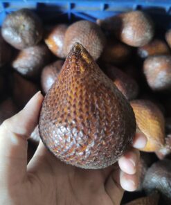Salak Pondoh Super 500gr