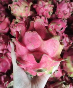Buah Naga Merah 500gr