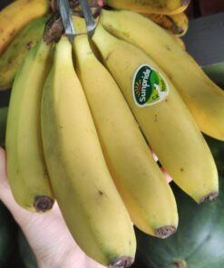 Pisang Cavendish Sunpride 500gr