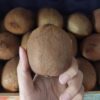 Kiwi Green 500gr
