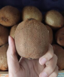Kiwi Green 500gr