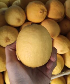 Lemon Argentina 500gr