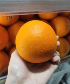 Jeruk Sunkist Navel Super 500gr