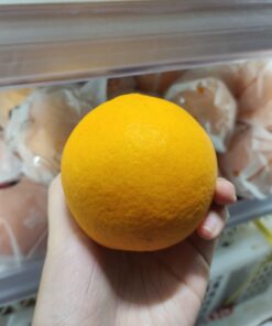 Jeruk Sunkist Navel 500gr