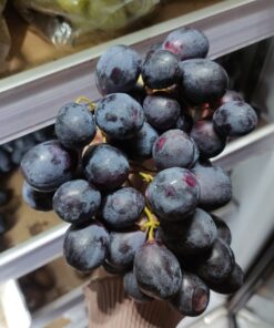 Anggur Hitam Black globe 500gr