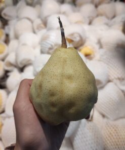 Pear Ya Lie 500gr